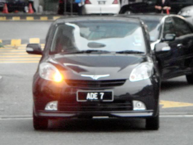ADE7-PeroduaMyvi.jpg