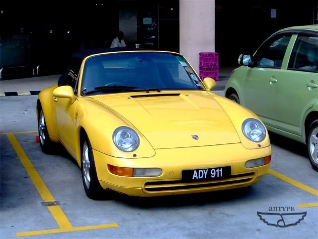ADY911.jpg