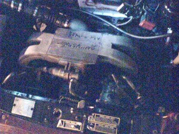 alfa146.jpg