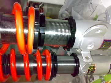 aurfa6.jpg