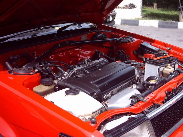 Banding8.jpg
