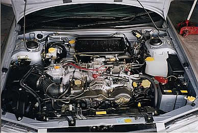 before.jpg