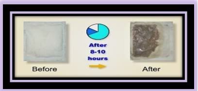 beforeafter1.jpg