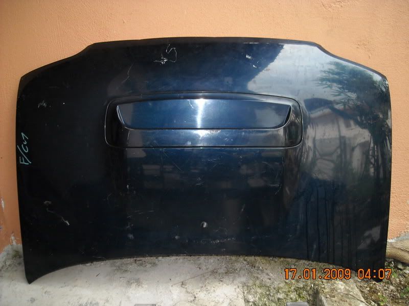 bodypartL52.jpg