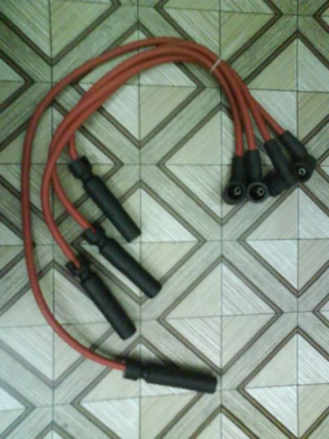 BOSCHplugcable-1.jpg