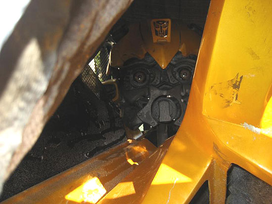 bumblebeehead.jpg