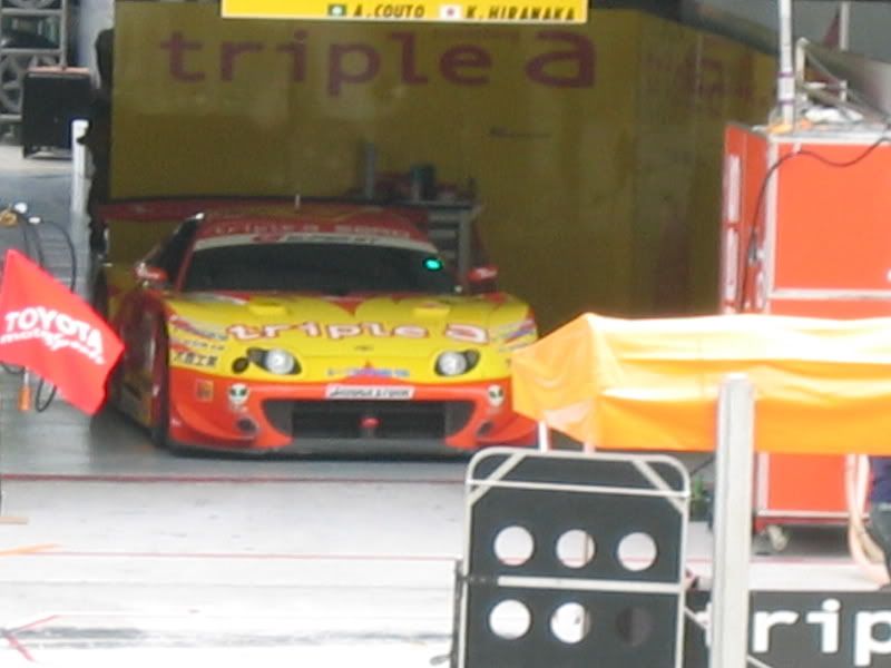 car8.jpg