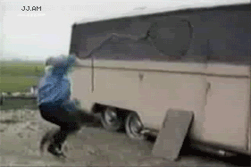 chickengif.gif