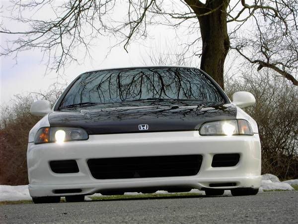 civic3.jpg