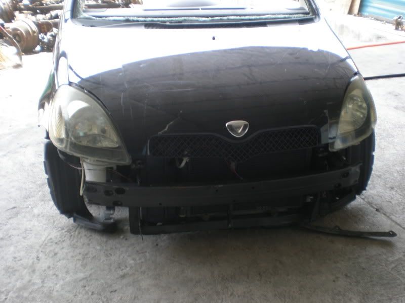 CopyofP3220001.jpg