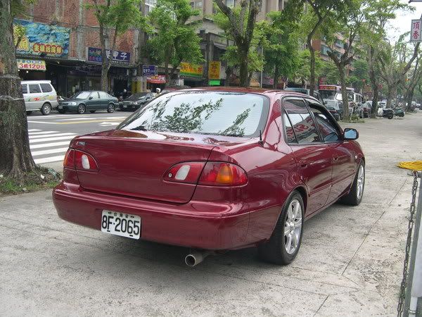 corollagoa4.jpg