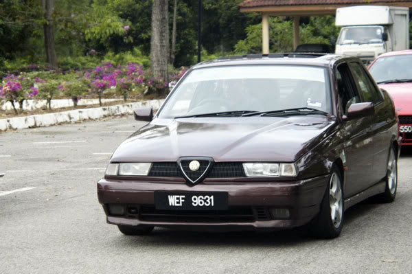 D2100.jpg
