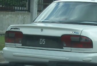 d5.jpg