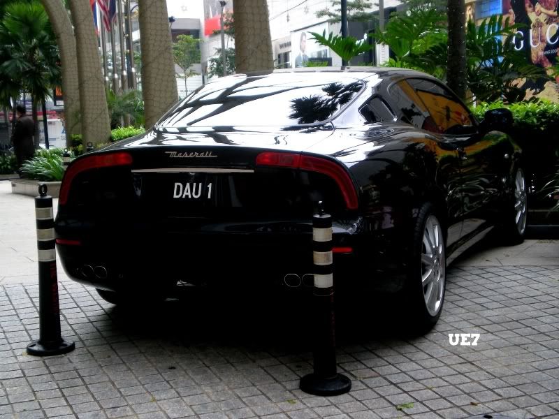 DAU1.jpg