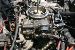 DCIM0010.jpg