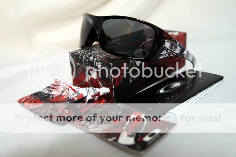 DevilsBrigadeAntixPolarized.jpg