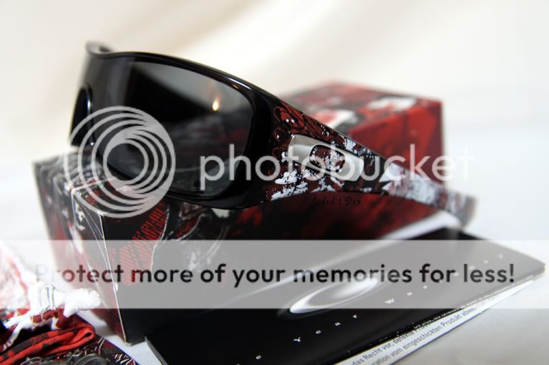 DevilsBrigadeAntixPolarized2.jpg