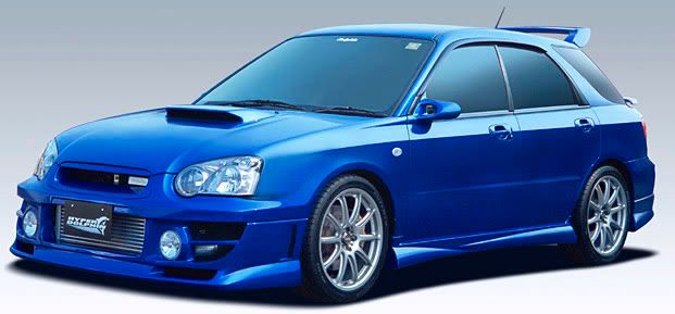 dolphin04car.jpg