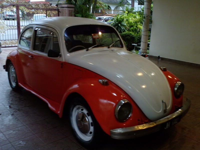 DSC00017-1.jpg