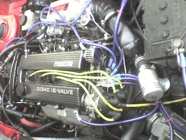 DSC00018.jpg