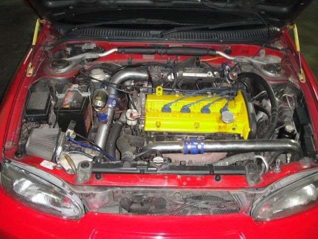 DSC00084.jpg