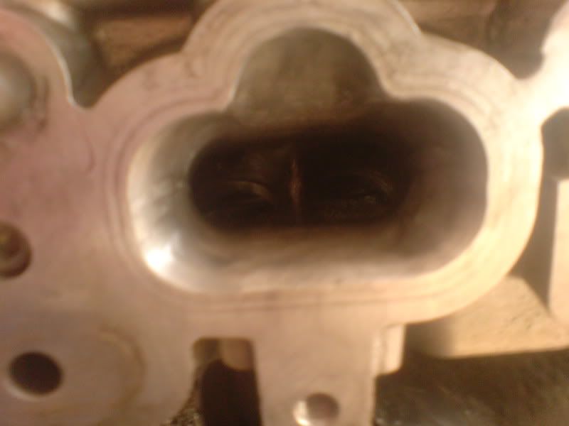 DSC00085.jpg