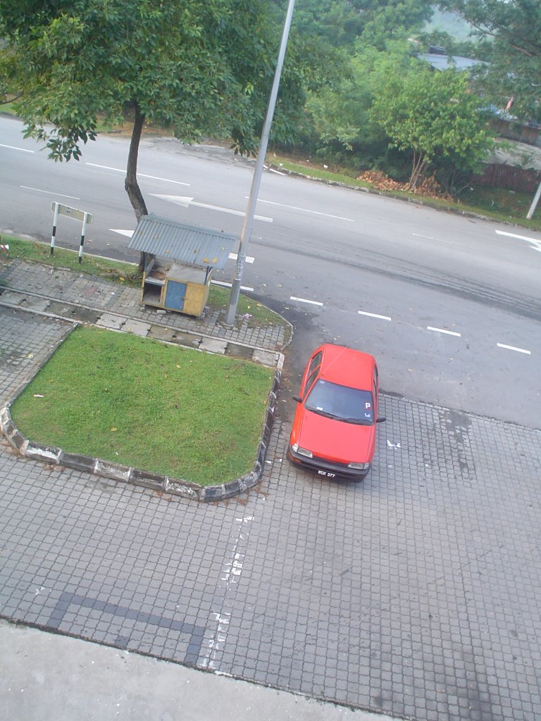 DSC00157.jpg