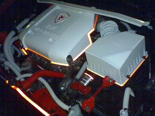 DSC00230.jpg