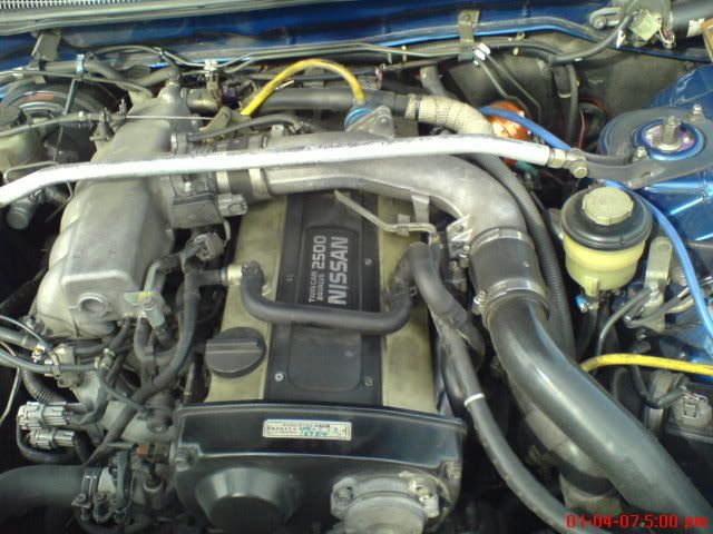 DSC00252.jpg