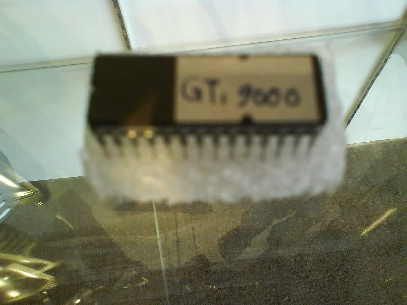 DSC00302.jpg