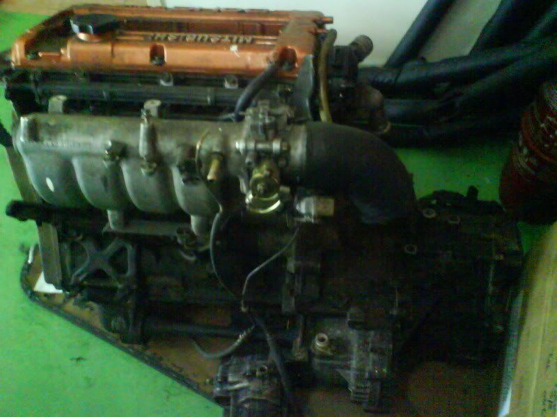 DSC00305.jpg