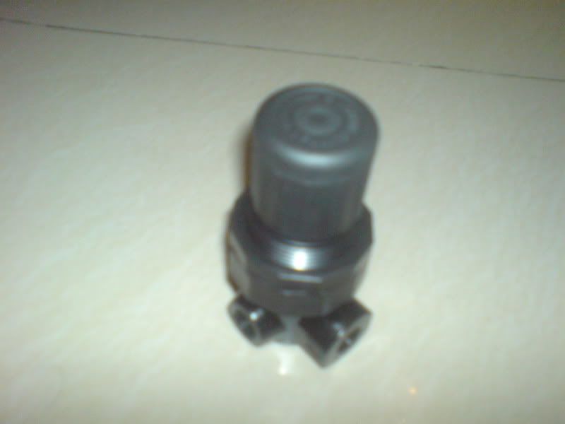 DSC00350.jpg