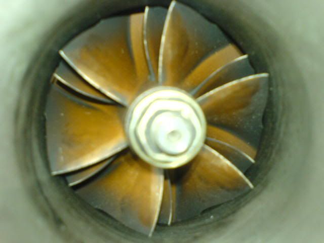 DSC00435.jpg