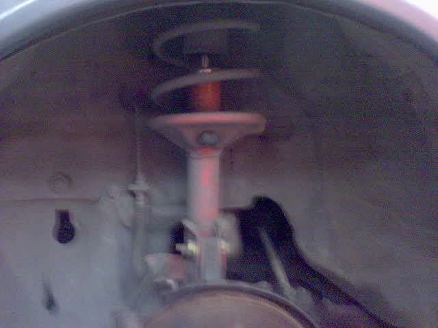 DSC00594.jpg