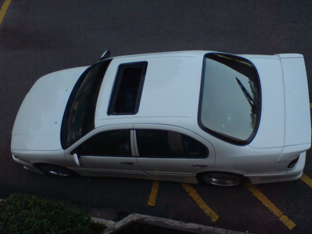 DSC00596-1.jpg