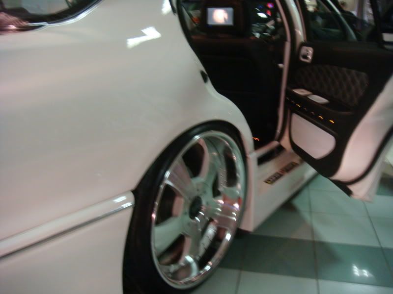 DSC00728.jpg
