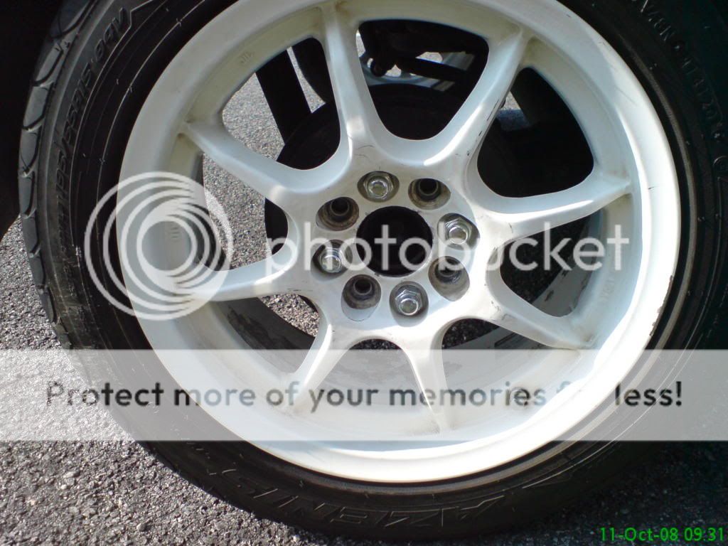 DSC00743.jpg