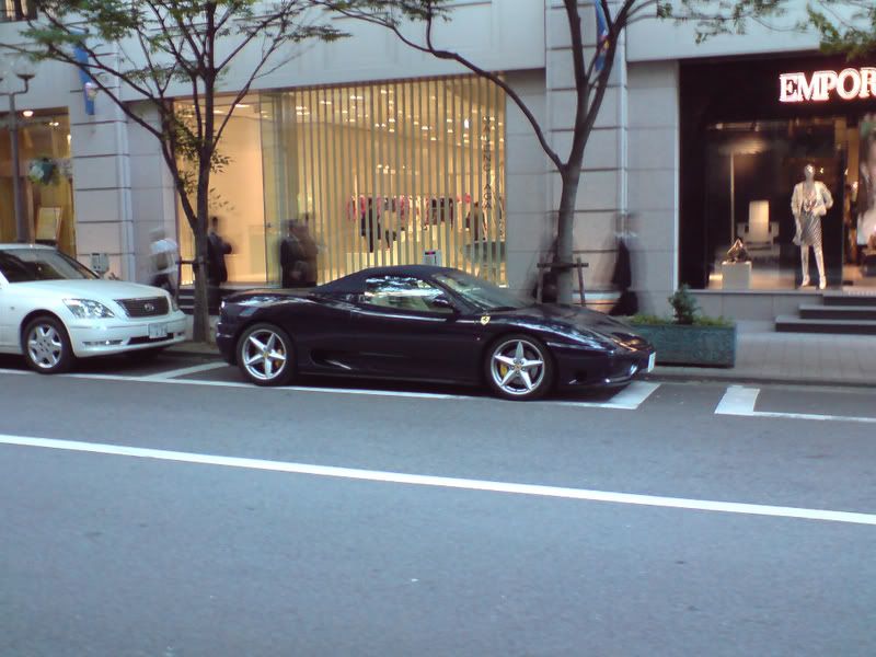 DSC00789.jpg