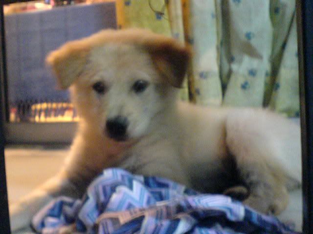 DSC00857.jpg