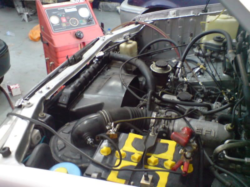 DSC00915.jpg