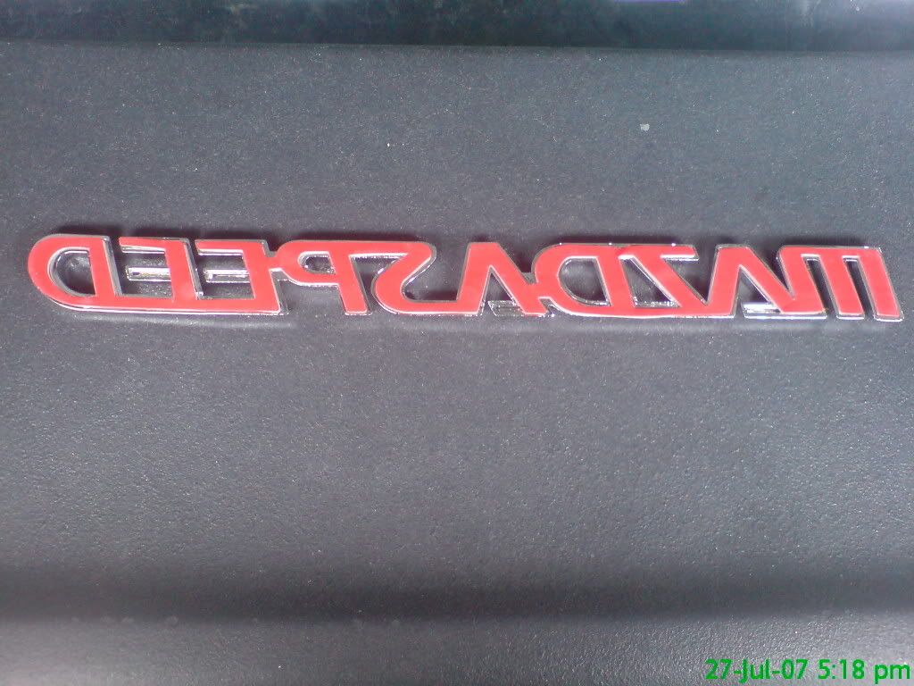 DSC00959.jpg