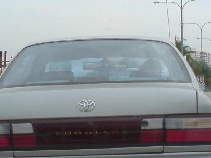 DSC01034.jpg