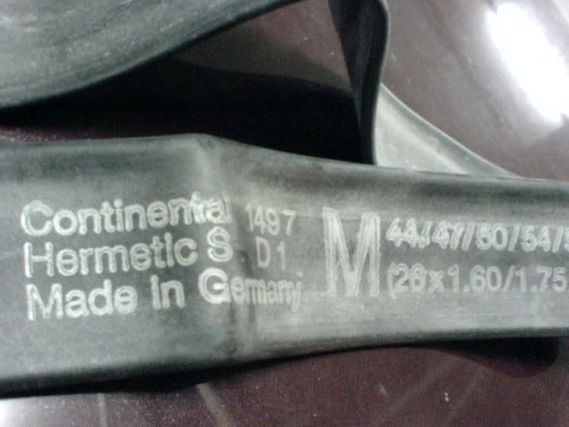 DSC01089.jpg