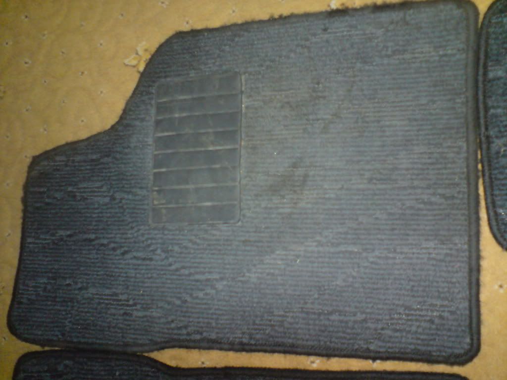 DSC01124.jpg