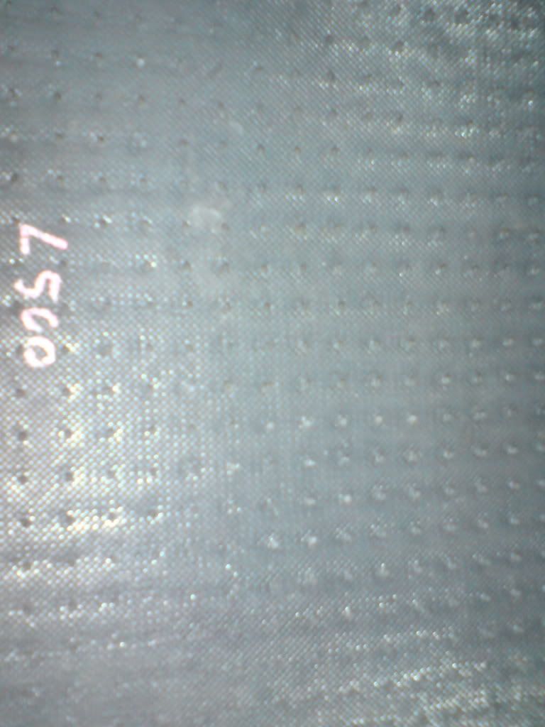 DSC01136.jpg
