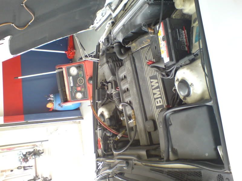 DSC01172.jpg