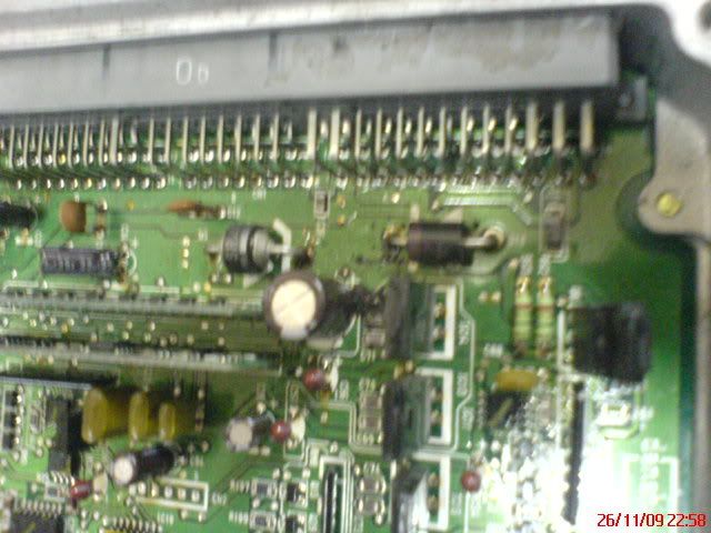 DSC01239.jpg