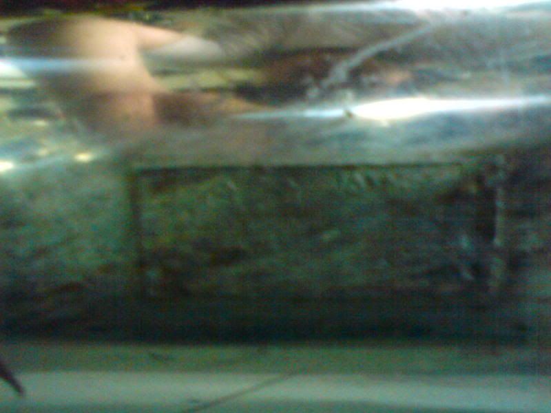 DSC01245.jpg