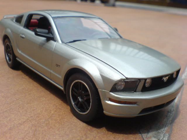DSC01311.jpg