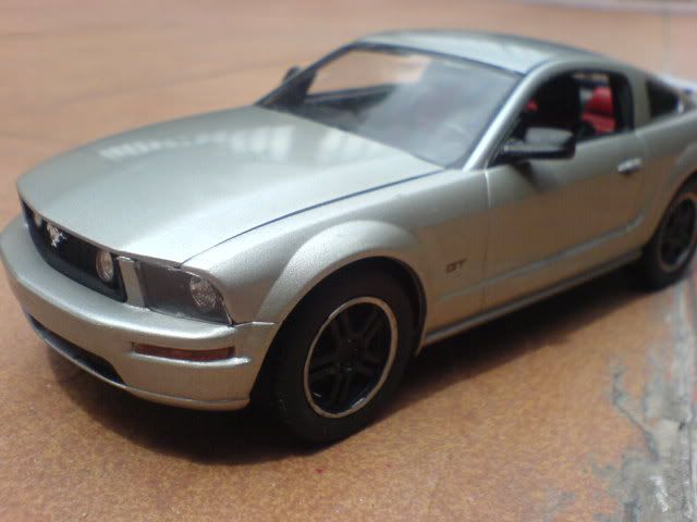 DSC01312.jpg